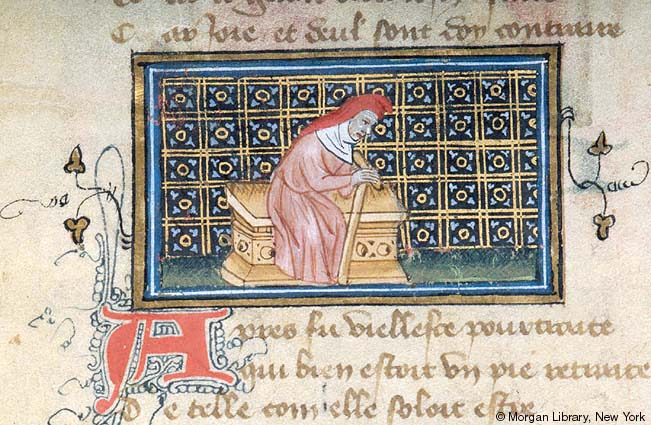 medieval manuscripts in the digital age