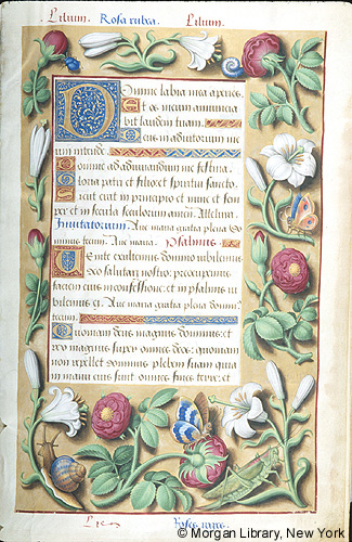 YEAHIBABY Cahier à spirale,Calendrier de cahier Cahier de planificateur hebdomadaire éléphant et flamant rose 2 pièces