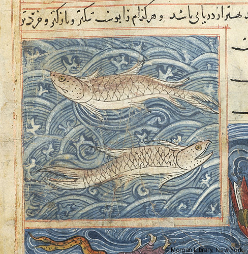 Medieval Bestiary : Manuscripts : Huntington Library HM 27523