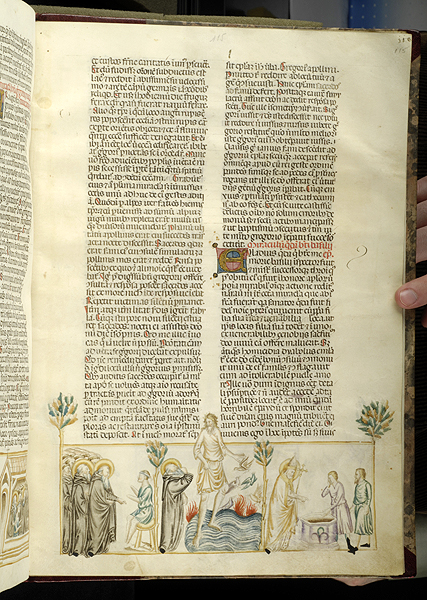 Pages 91-126 of Fernandina Guide Manuscript - Manuscript