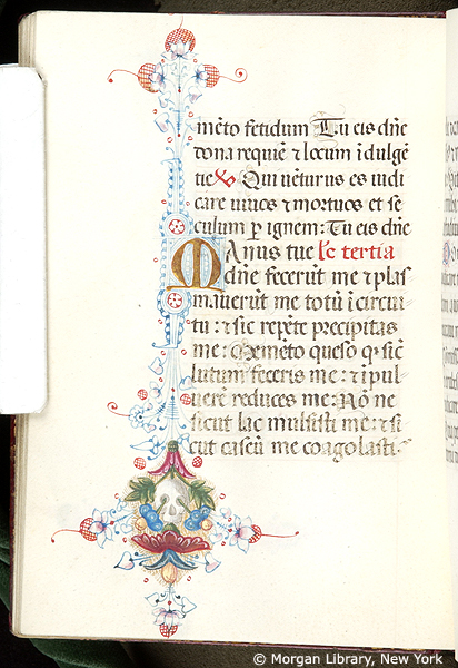 Book of Hours - Medieval & Renaissance Manuscripts Online - The Morgan ...