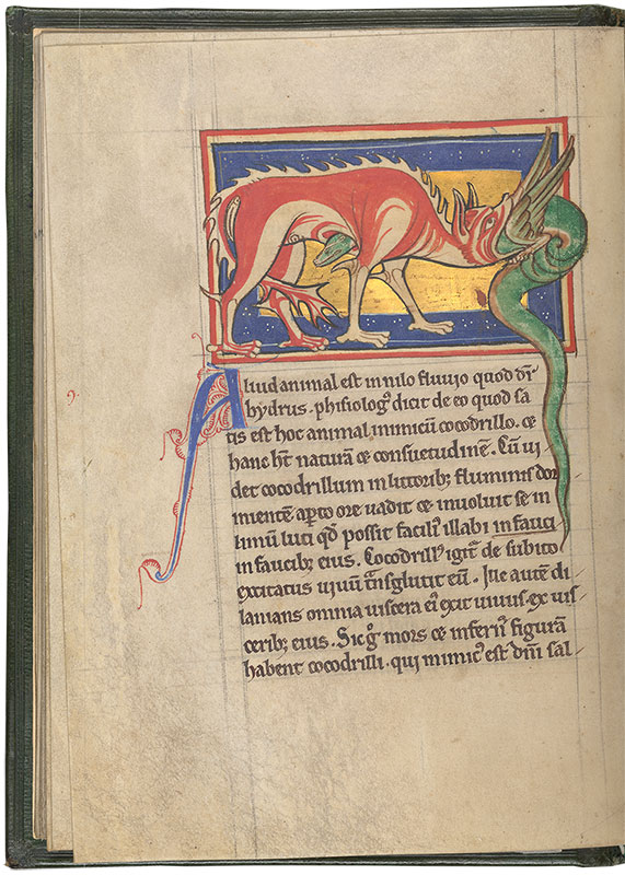 Bestiary - Medieval & Renaissance Manuscripts Online - The Morgan ...